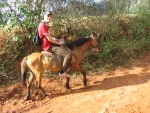 ein nasser Sack im Tal Valle de Viñales