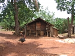 Valle de Viñales eine der schönsten Gegenden auf Cuba