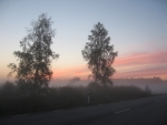 morgens in den weiten Wäldern von Schweden